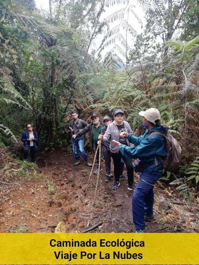 Chalet Ecoturismo La Nohelia Jericoc  Kültér fotó