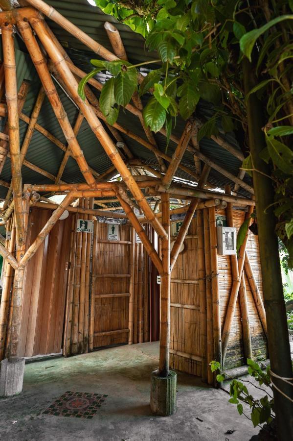 Chalet Ecoturismo La Nohelia Jericoc  Kültér fotó