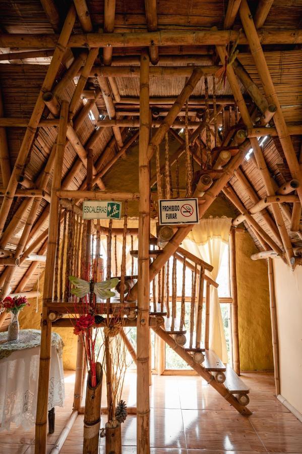 Chalet Ecoturismo La Nohelia Jericoc  Kültér fotó