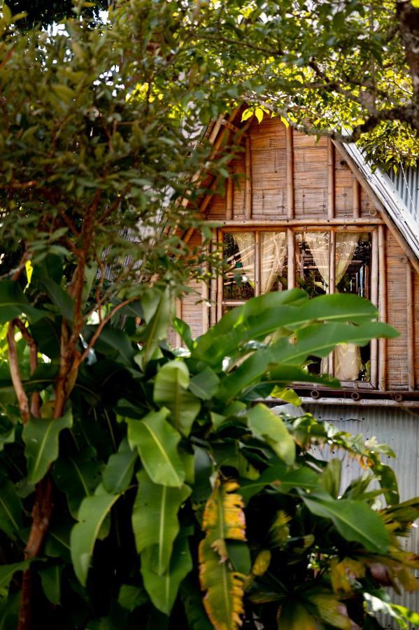 Chalet Ecoturismo La Nohelia Jericoc  Kültér fotó