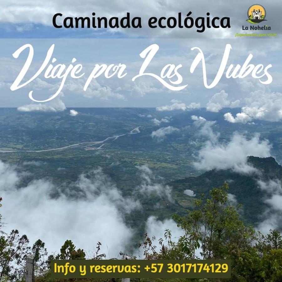Chalet Ecoturismo La Nohelia Jericoc  Kültér fotó