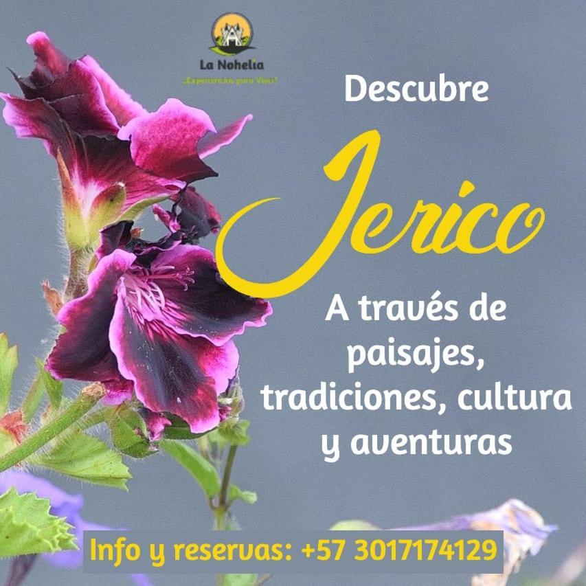 Chalet Ecoturismo La Nohelia Jericoc  Kültér fotó